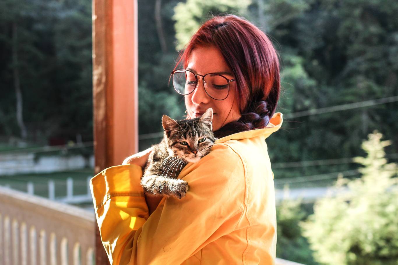 The Benefits of Having a Pet During Addiction Recovery